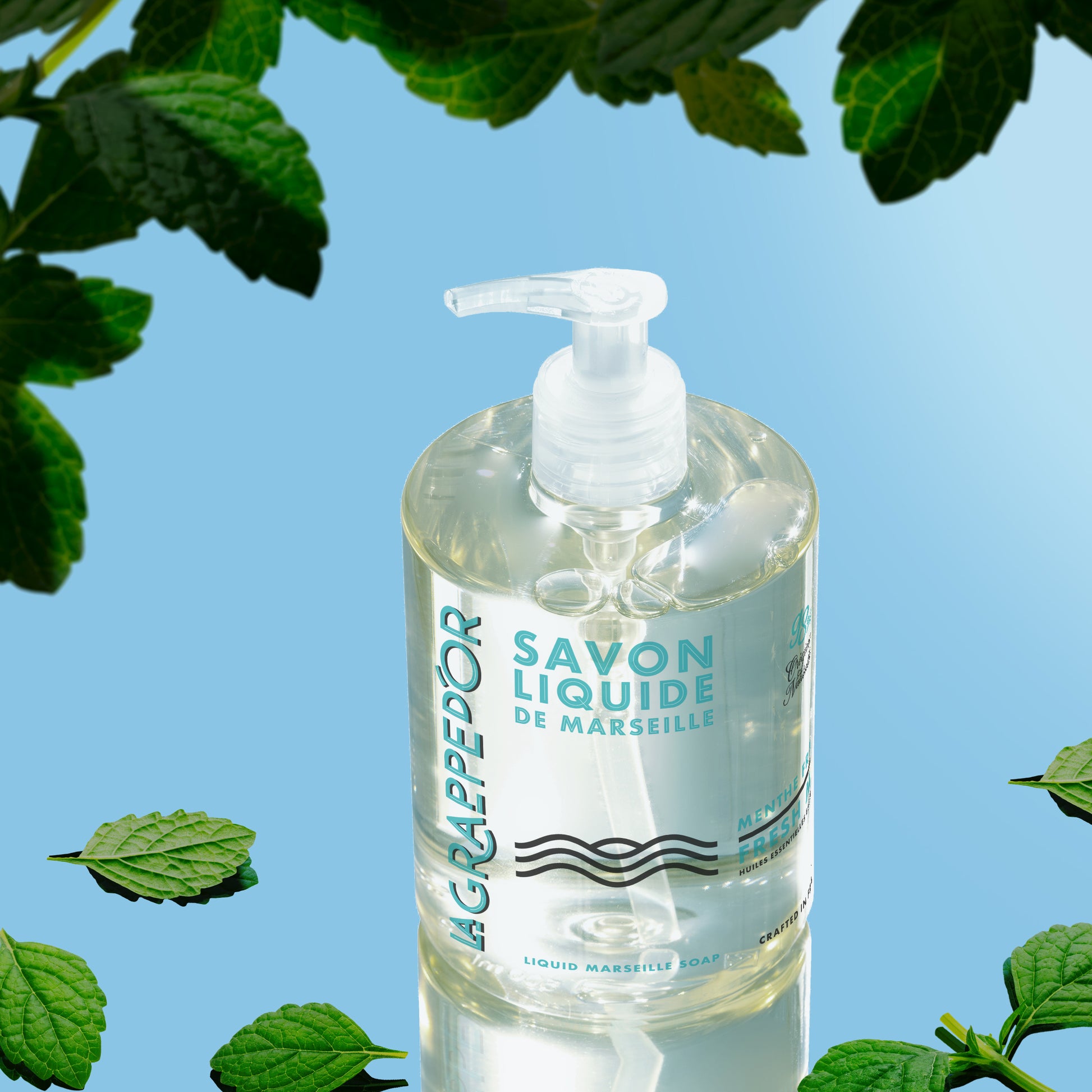 Liquid Bottle Soap (3+1) 500ml – MongdiesUS